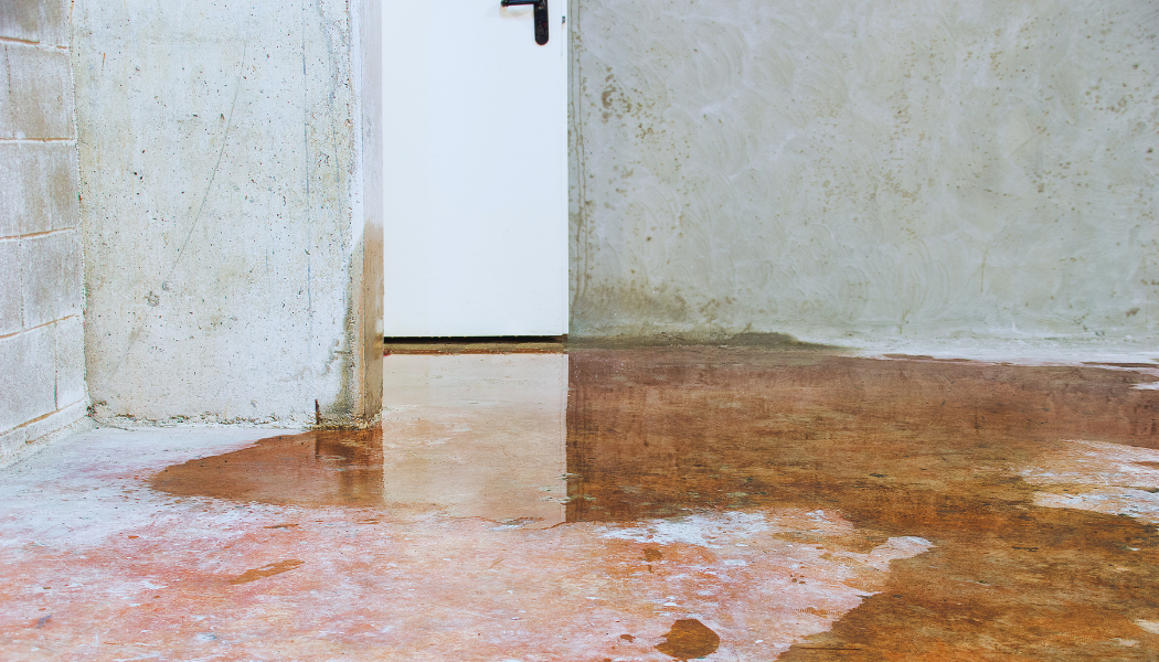 Offene Kellertür mit Wasser auf dem Boden